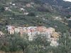 photo_8