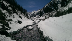 Val troncea